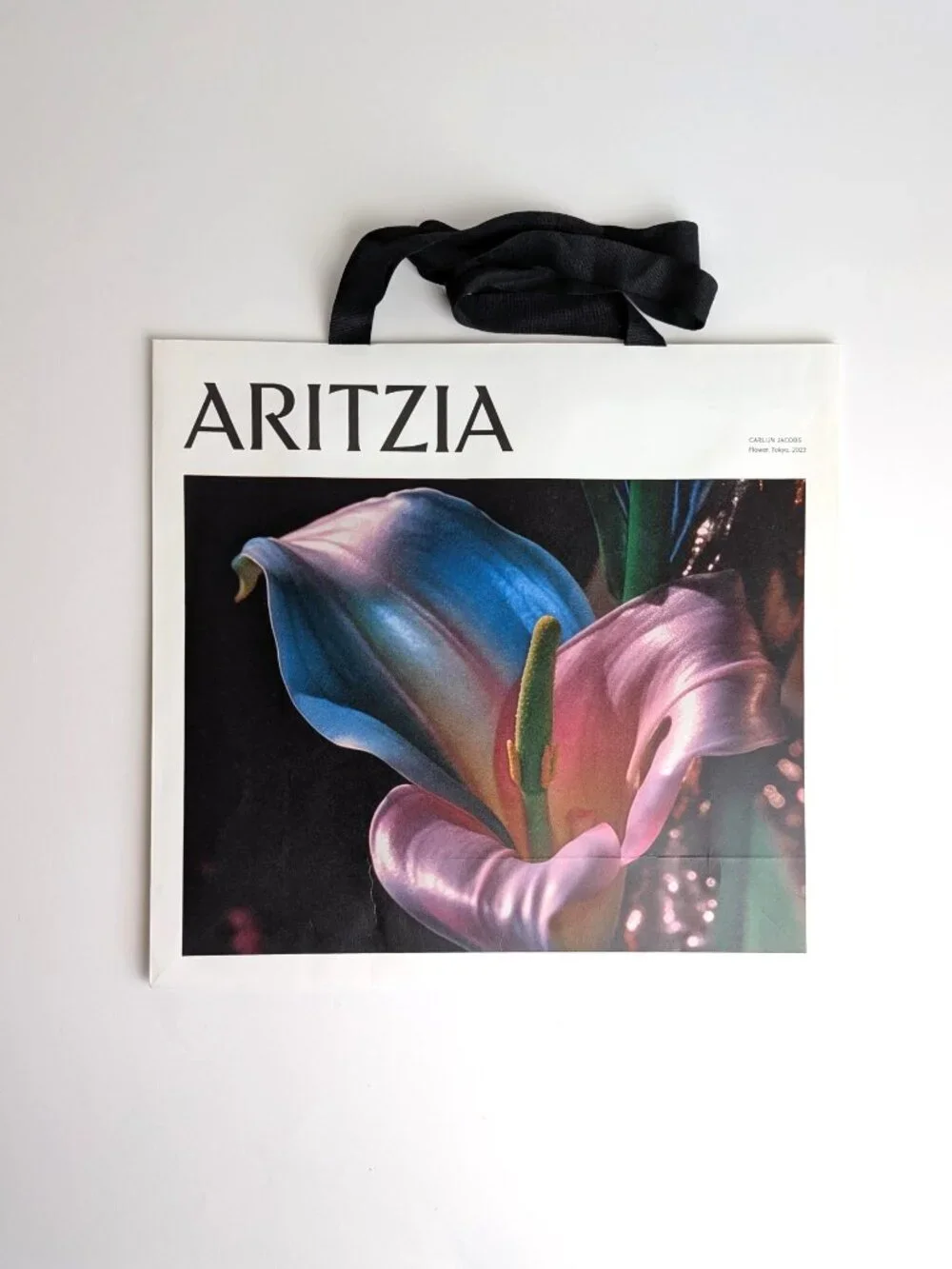 Lot of 4 Aritzia Artist Shopping Bags Gregory Crewdson Carlijn Jacobs Murphy
